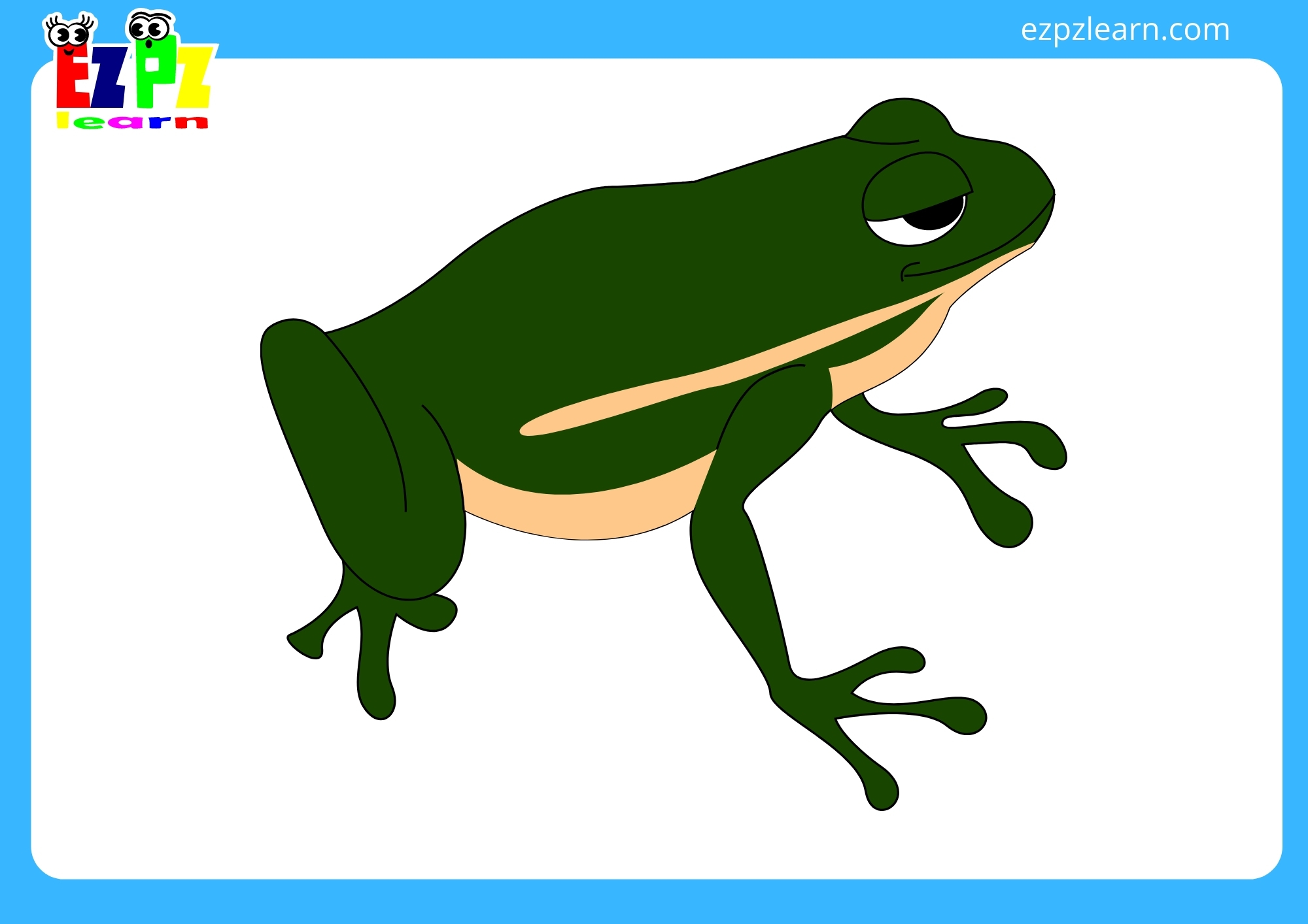frog